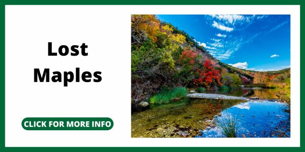 Fishing Near San Antonio - Lost Maples River