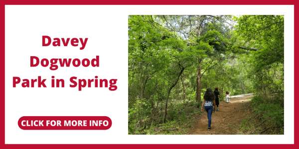 Campgrounds in Texas - Davey Dogwood Park in Spring