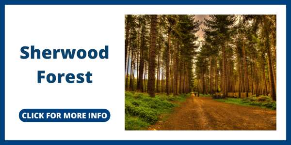 Campgrounds in Texas - Sherwood Forest