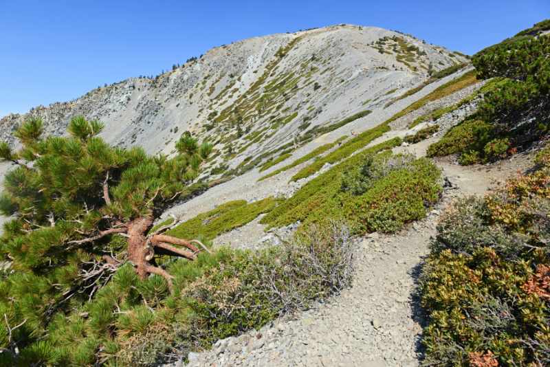 best hiking near san antonio