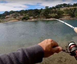 Fishing Photo 2 - Medina Lake